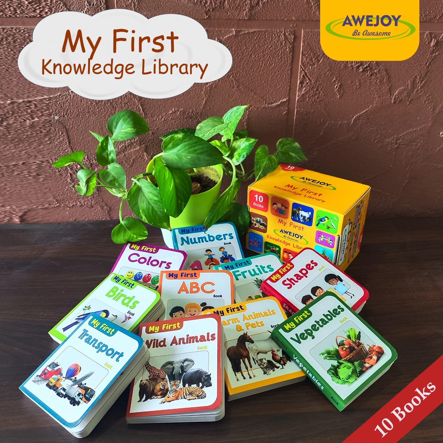 AWEJOY My First Knowledge Library: Box Set of 10 Board Books for Kids